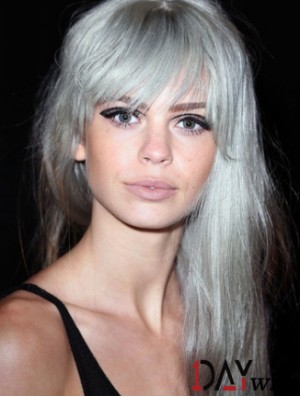 Popular Long Straight 20 inch Synthetic Grey Wigs